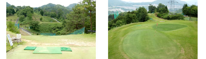 NO2&11画像